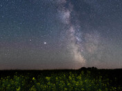 Milky Way & Canola