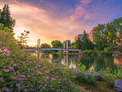 Sunrise Clouds Over A Foliage Filled Summer Park