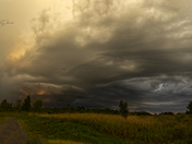 Storms Brewing