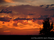 Prairie Sunset