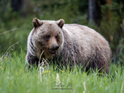 Young Wild and Delete