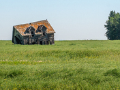 Needs a little fixing up