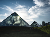 Muttart in the summer