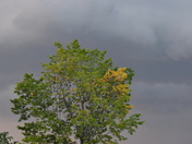 Storm clouds over the Fort
