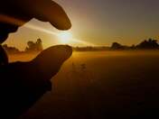 Sunrise and foggy beautiful 🌞 morning