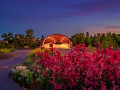 Summer Flowers By An Illuminated Peace Bridge