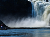 Should I or shouldn't I 