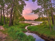 Sunrise Over The Bow River In Summer