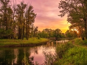 Sunrise Reflections In A Park Lake