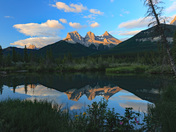 Wildflowers and the Three Sisters