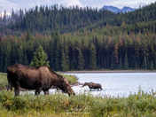 Magic in the mountains part 2