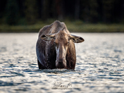 Magic in the mountains part 2