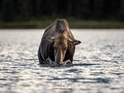 Magic in the mountains part 2