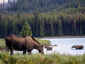 Magic in the mountains part 2