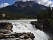 Athabaska Falls