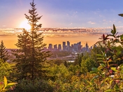 Bright Calgary Cityscape In The Summer