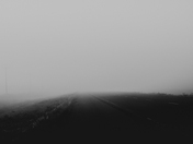 Foggy Morning