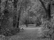 Trail in a city park.