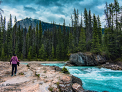 just a girl and her bear