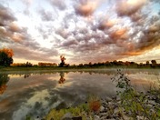 Beautiful morning clouds