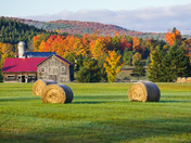 Autumn from Quebec 