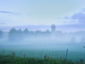 In a fog 