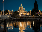 Decked Out In Lights