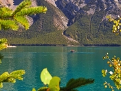 Mountain Framed By Fall Foliage