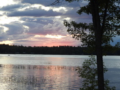 After the rain
