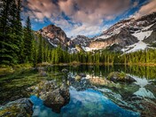 Good Morning Black Prince