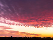Kaleidoscope of Colours