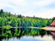 Canoe Lake Reflections