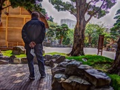 Day in the park with Covid