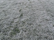 Biking in a field of Frost