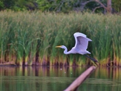 Flip your legs in the air...