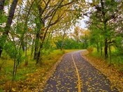 Scenic Road Through A Fall Park