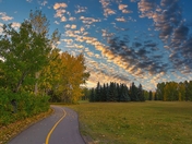 Pathway Through An Autumn Park At Sunrise