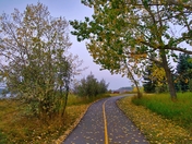 Road Through A Fall Forest