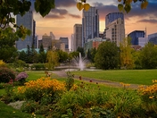Cloudy Sunrise Over An Autumn Downtown Calgary Park
