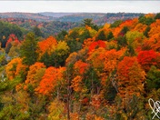 Autumn in Canada