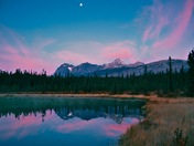 A morning to remember