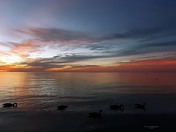 Sunrise Scarborough Bluffers beach park