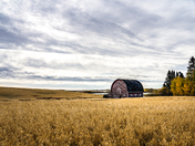 Little Red Barn