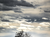 Standing Alone
