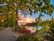 Sunrise Over The Bow River And Fall Park
