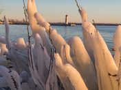 Cold fingers 