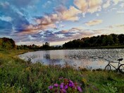 Beautiful sunset