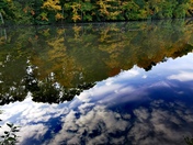 Beautiful nature's reflection
