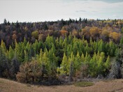 Love and appreciate the outdoors!