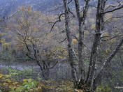 Parc national de la Jacques-Cartier